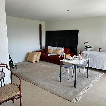 Lakeview Apartment-Lavaux Grandvaux Kültér fotó